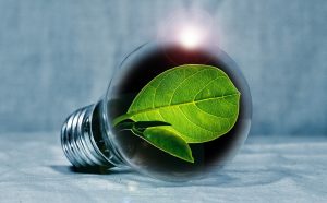5 Types of Green Energy