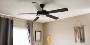 Clean Apartment Ceiling Fan Dust